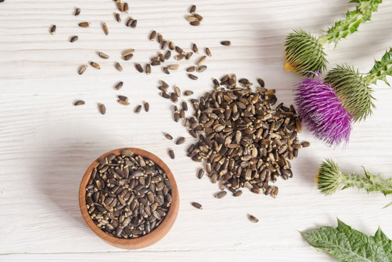 Milk Thistle and Breast Milk - What Nursing Moms Should Know